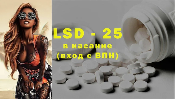 индика Володарск