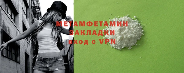 индика Володарск