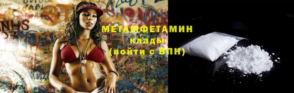 индика Володарск