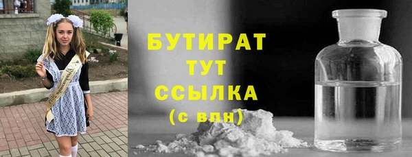 индика Володарск