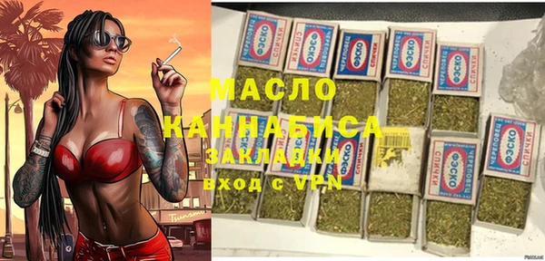 индика Володарск