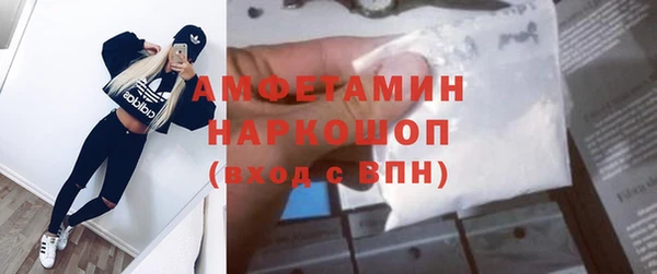 индика Володарск