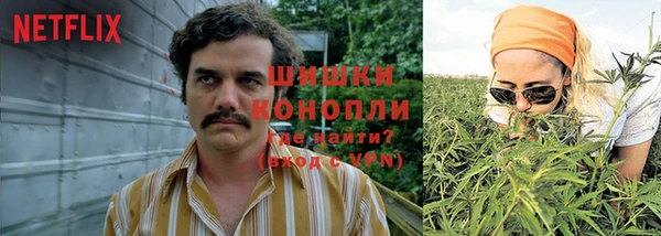 мяу мяу мука Волоколамск