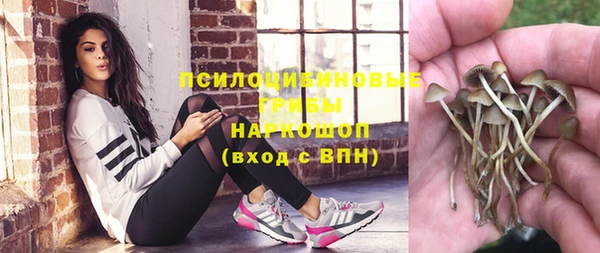 индика Володарск