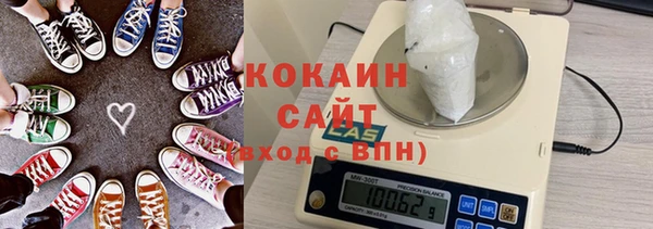 индика Володарск