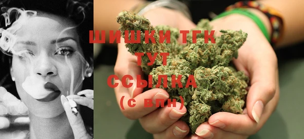 индика Володарск
