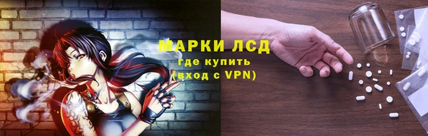 индика Володарск