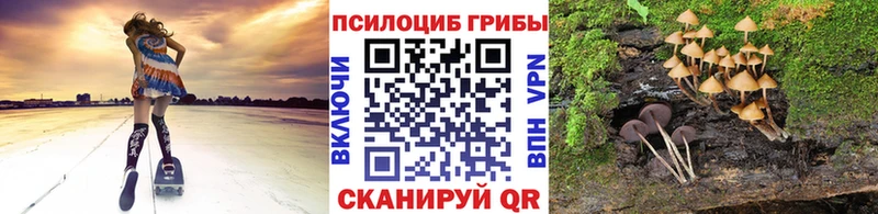 МЕГА как зайти  Зея  Псилоцибиновые грибы мухоморы 